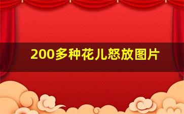 200多种花儿怒放图片