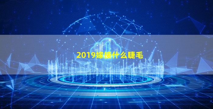 2019嫁接什么睫毛