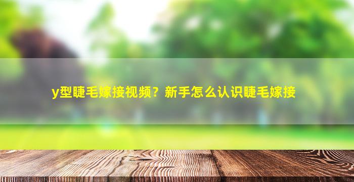 y型睫毛嫁接视频？新手怎么认识睫毛嫁接