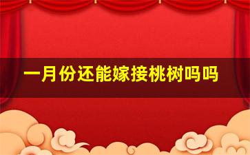 一月份还能嫁接桃树吗吗