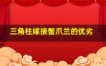 三角柱嫁接蟹爪兰的优劣