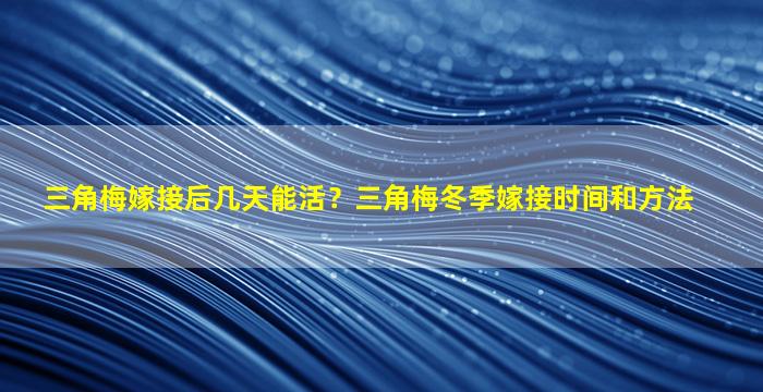 三角梅嫁接后几天能活？三角梅冬季嫁接时间和方法