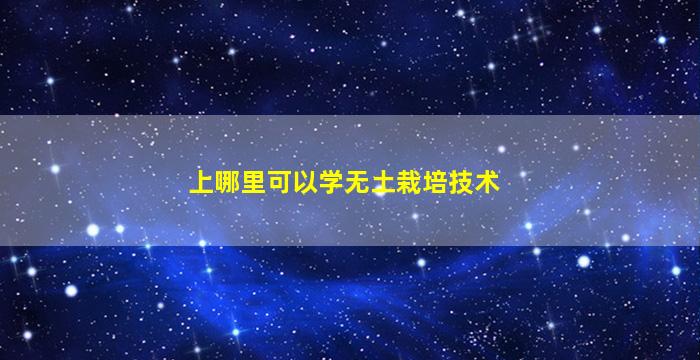 上哪里可以学无土栽培技术