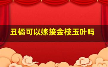 丑橘可以嫁接金枝玉叶吗