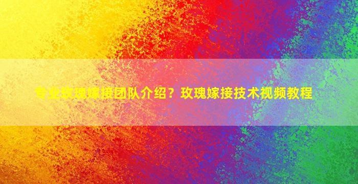 专业玫瑰嫁接团队介绍？玫瑰嫁接技术视频教程