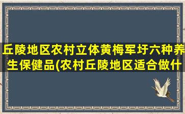 丘陵地区农村立体黄梅军圩六种养生保健品(农村丘陵地区适合做什么)