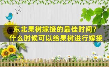 东北果树嫁接的最佳时间？什么时候可以给果树进行嫁接