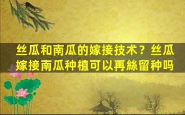 丝瓜和南瓜的嫁接技术？丝瓜嫁接南瓜种植可以再絲留种吗