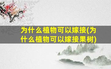 为什么植物可以嫁接(为什么植物可以嫁接果树)