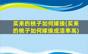 买来的桃子如何嫁接(买来的桃子如何嫁接成活率高)