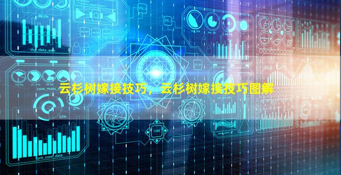 云杉树嫁接技巧，云杉树嫁接技巧图解