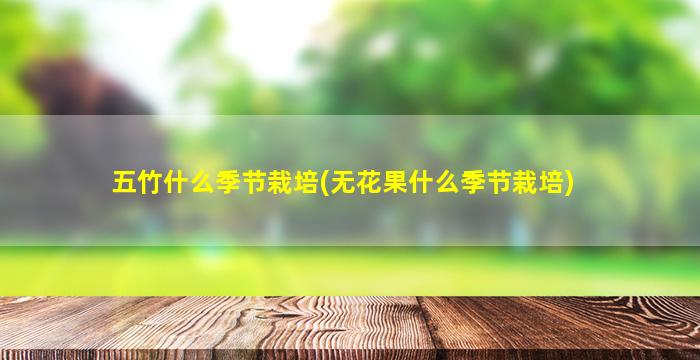 五竹什么季节栽培(无花果什么季节栽培)