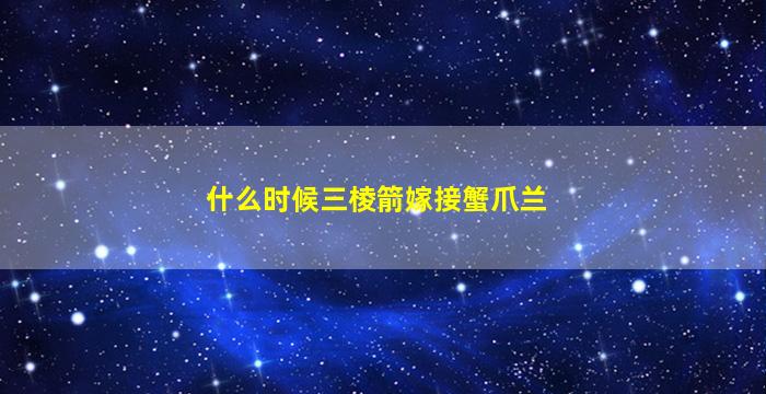 什么时候三棱箭嫁接蟹爪兰