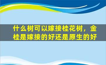 什么树可以嫁接桂花树，金桂是嫁接的好还是原生的好