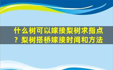 什么树可以嫁接梨树求指点？梨树搭桥嫁接时间和方法