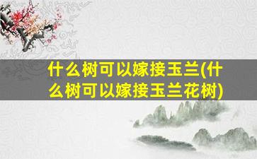 什么树可以嫁接玉兰(什么树可以嫁接玉兰花树)