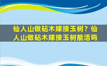 仙人山做砧木嫁接玉树？仙人山做砧木嫁接玉树能活吗