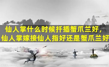 仙人掌什么时候扦插蟹爪兰好，仙人掌嫁接仙人指好还是蟹爪兰好