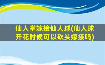 仙人掌嫁接仙人球(仙人球开花时候可以砍头嫁接吗)