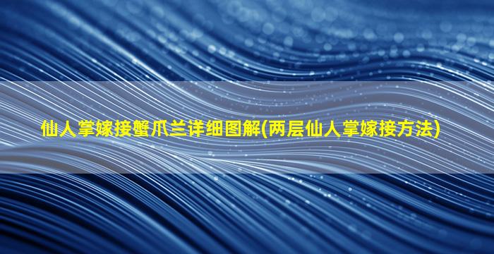 仙人掌嫁接蟹爪兰详细图解(两层仙人掌嫁接方法)