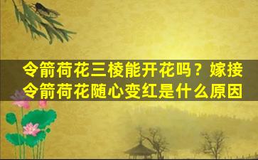 令箭荷花三棱能开花吗？嫁接令箭荷花随心变红是什么原因