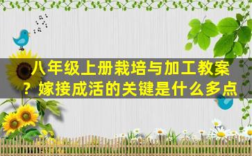 八年级上册栽培与加工教案？嫁接成活的关键是什么多点