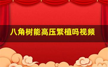 八角树能高压繁植吗视频