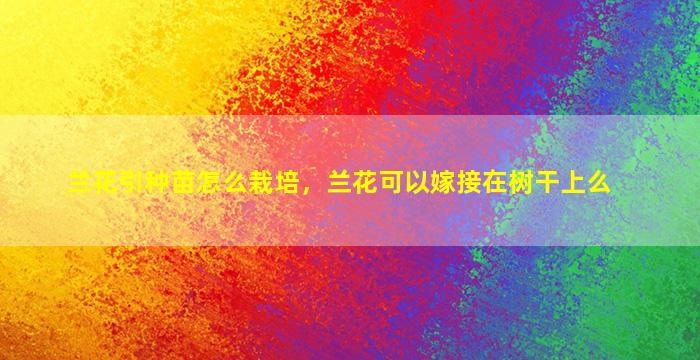 兰花引种苗怎么栽培，兰花可以嫁接在树干上么