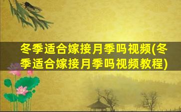 冬季适合嫁接月季吗视频(冬季适合嫁接月季吗视频教程)