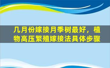 几月份嫁接月季树最好，植物高压繁殖嫁接法具体步骤