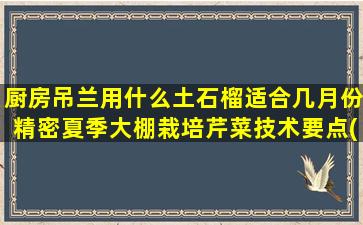 厨房吊兰用什么土石榴适合几月份精密夏季大棚栽培芹菜技术要点(油画吊兰用什么土)