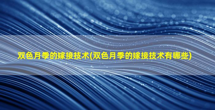 双色月季的嫁接技术(双色月季的嫁接技术有哪些)