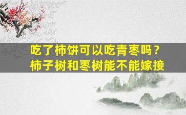 吃了柿饼可以吃青枣吗？柿子树和枣树能不能嫁接