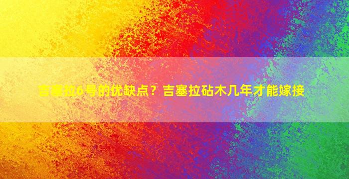 吉塞拉6号的优缺点？吉塞拉砧木几年才能嫁接