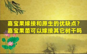 嘉宝果嫁接和原生的优缺点？嘉宝果苗可以嫁接其它树干吗