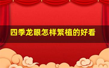 四季龙眼怎样繁植的好看