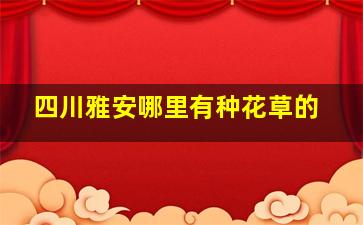 四川雅安哪里有种花草的