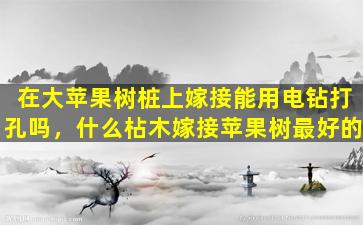 在大苹果树桩上嫁接能用电钻打孔吗，什么枮木嫁接苹果树最好的