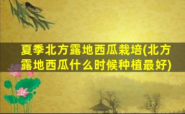 夏季北方露地西瓜栽培(北方露地西瓜什么时候种植最好)