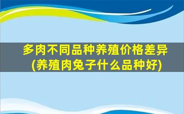 多肉不同品种养殖价格差异(养殖肉兔子什么品种好)