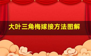 大叶三角梅嫁接方法图解