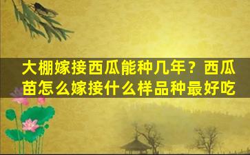 大棚嫁接西瓜能种几年？西瓜苗怎么嫁接什么样品种最好吃