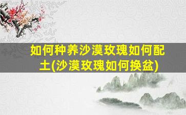 如何种养沙漠玫瑰如何配土(沙漠玫瑰如何换盆)