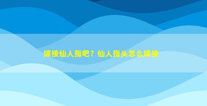 嫁接仙人指吧？仙人指头怎么嫁接