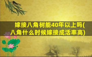 嫁接八角树能40年以上吗(八角什么时候嫁接成活率高)