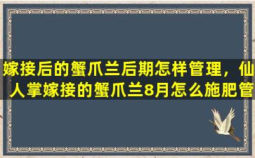 嫁接后的蟹爪兰后期怎样管理，仙人掌嫁接的蟹爪兰8月怎么施肥管理