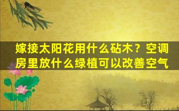 嫁接太阳花用什么砧木？空调房里放什么绿植可以改善空气