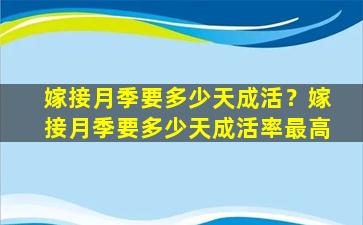 嫁接月季要多少天成活？嫁接月季要多少天成活率最高