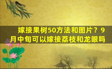 嫁接果树50方法和图片？9月中旬可以嫁接荔枝和龙眼吗