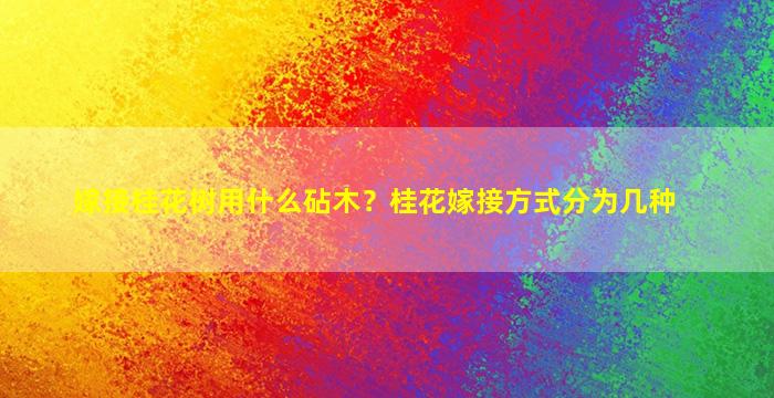 嫁接桂花树用什么砧木？桂花嫁接方式分为几种